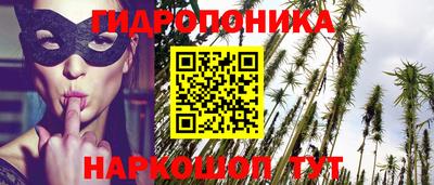 шишки Обнинск