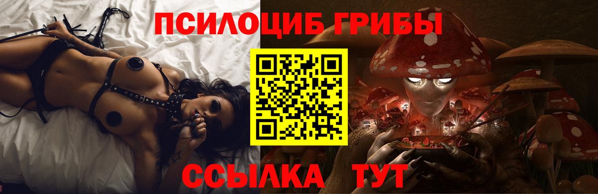 Трёхгорный  где продают наркотики  Вход с VPN  Галлюциногенные грибы Psilocybine cubensis 